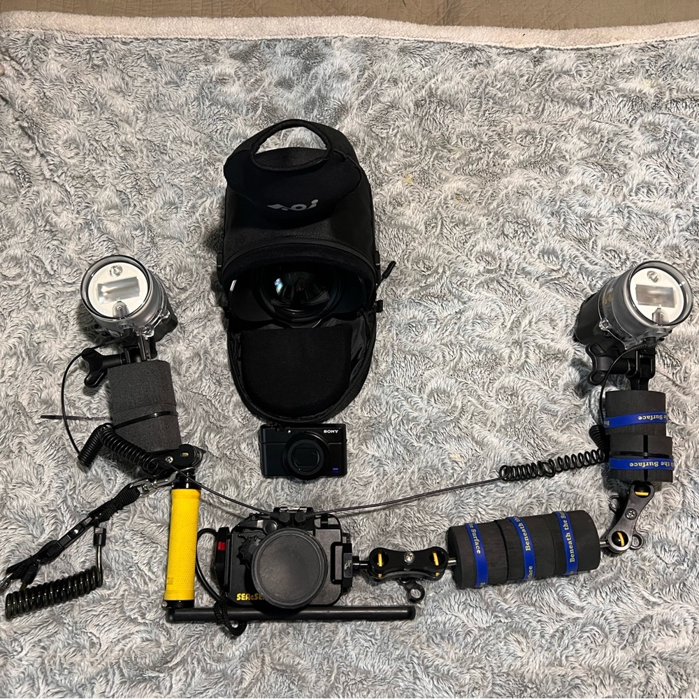 Underwater Sony RX 100 III, Sea & Sea MDX 100 III